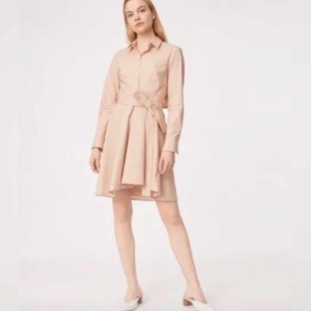 Club Monaco Shapira Dress